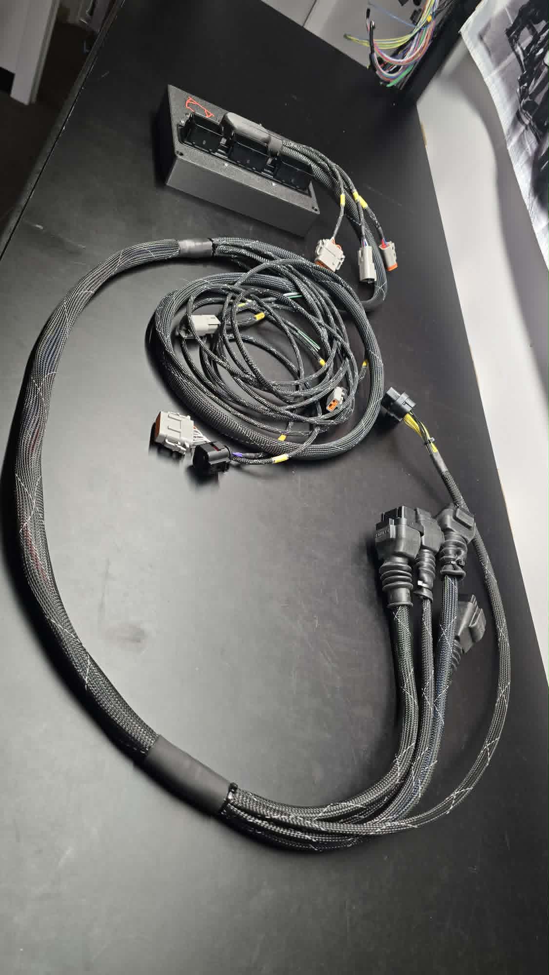 FG to FG X V8 Miami to Haltech R5 patch loom