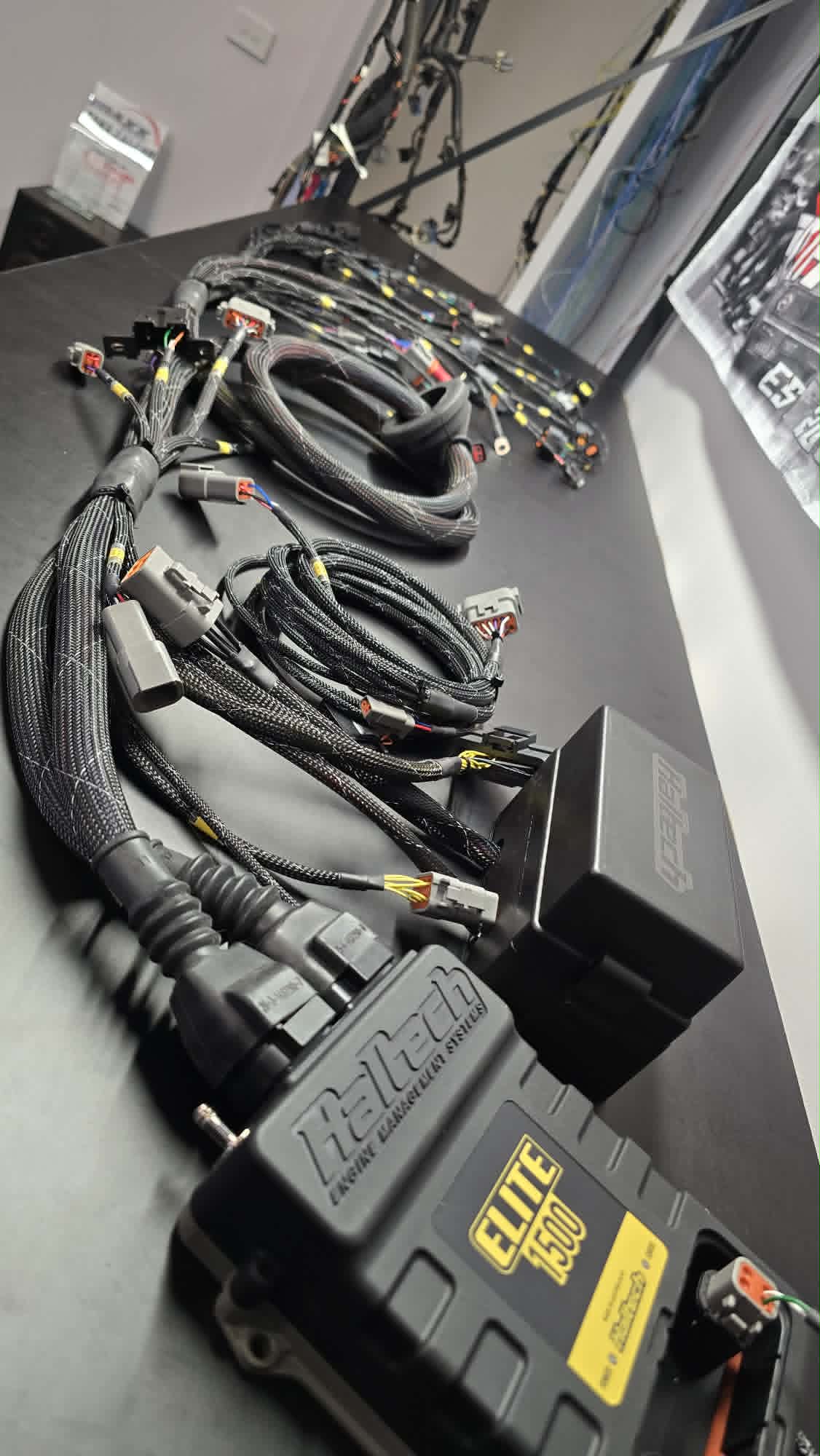Haltech Barra ZF6 stand-alone wiring package laid out on the workbench